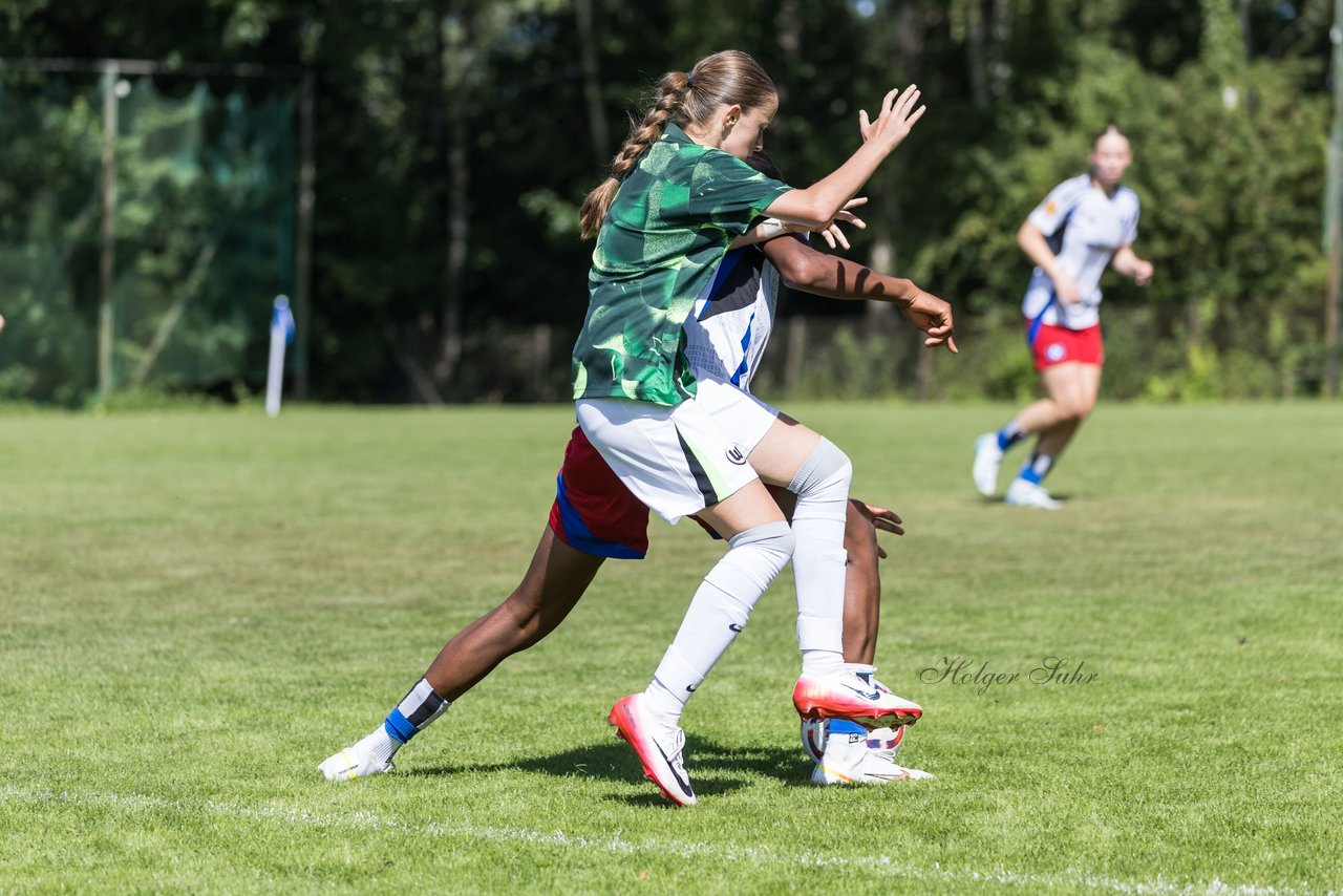 Bild 408 - wBJ Hamburger SV - VfL Wolfsburg : Ergebnis: 5:1